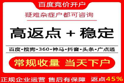 SEM托管公司案例：优化与增长